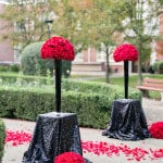 2,000 Roses Marriage Proposal