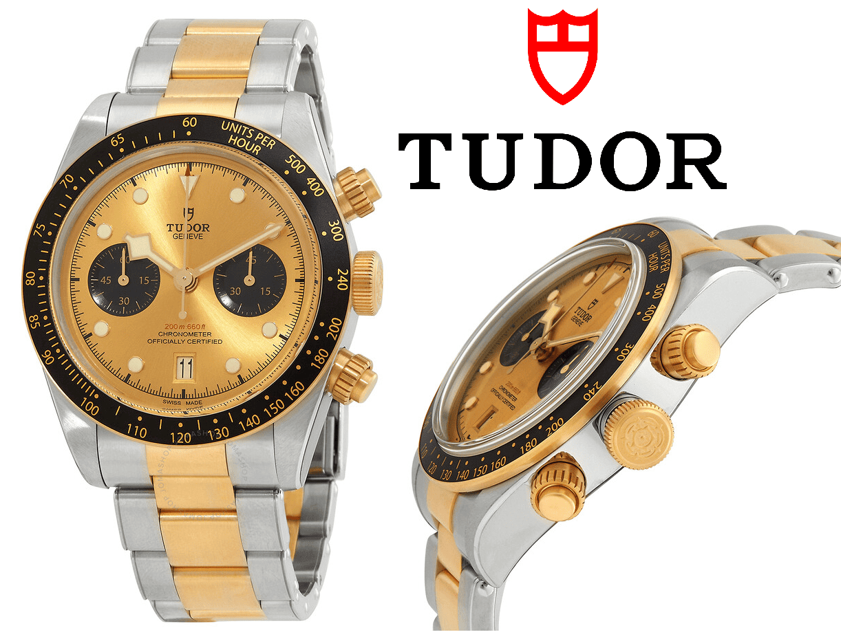 Golden Tudor Black Bay watch